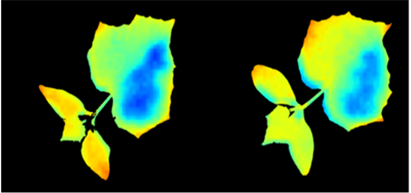 THERMAL imaging data
